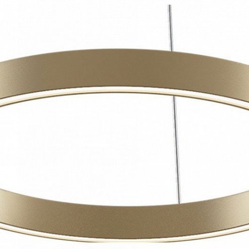 Подвесной светильник Maytoni Rim MOD058PL-L22BSK