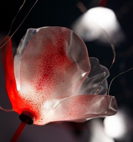 Подвесной светильник Poppy POPSL00PRR03SLD000EU