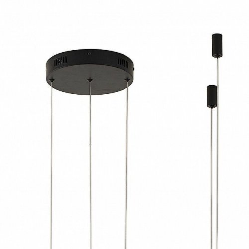 Подвесной светильник Zortes Ringolight ZRS.33320.120F