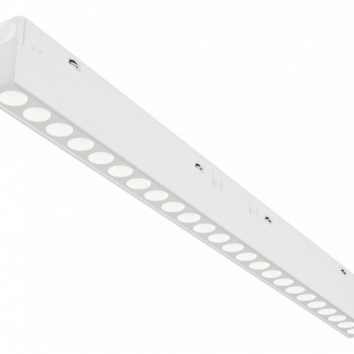 Трековый светильник Maytoni Points TR031-2-24W4K-W