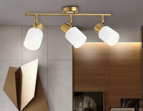 Спот Ambrella light Traditional TR3972