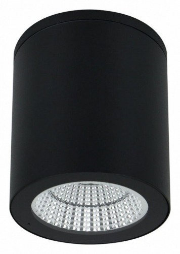 Потолочный светильник уличный Arte Lamp Torcular A1813PF-1BK