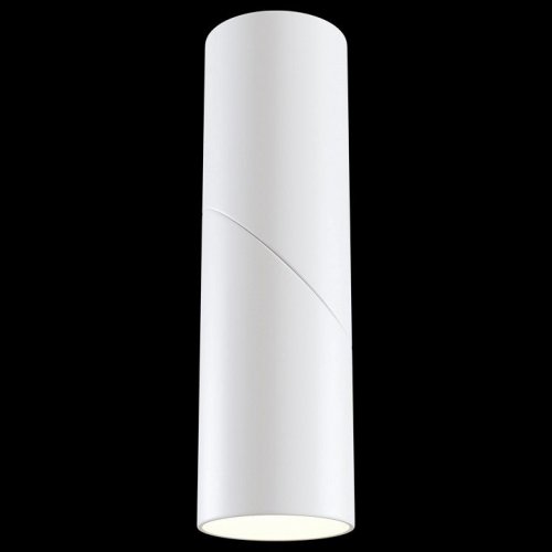 Светодиодный спот Maytoni Dafne C027CL-L10W