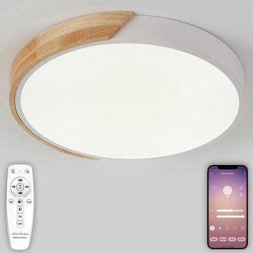 Потолочный светильник Natali Kovaltseva Scandinavian LED LAMPS 81181
