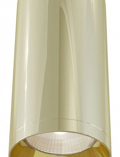 Потолочный светильник Maytoni Alfa C010CL-01G