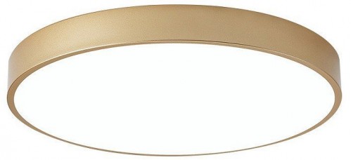 Настенно-потолочный светильник TopDecor Union Union P2 33