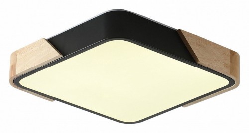 Потолочный светильник Zortes Alberro ZRS.01281.60 Потолочный светильник Zortes Alberro ZRS.01281.60