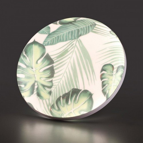 Настенно-потолочный светильник Sonex Flori 7748/DL