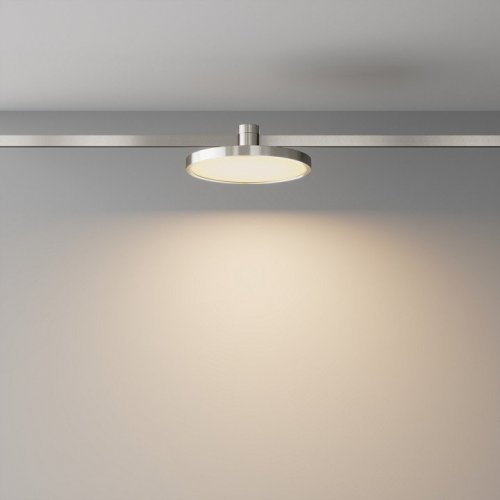 Накладной светильник Maytoni Technical Plato TR153-1-10W3K-PT Накладной светильник Maytoni Technical Plato TR153-1-10W3K-PT