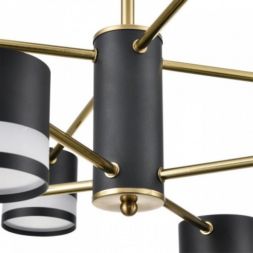 Потолочная люстра Lumion Lanika 8240/8C