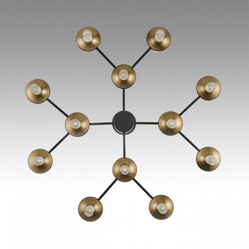Потолочная люстра Lumion Tamaresa 8112/24