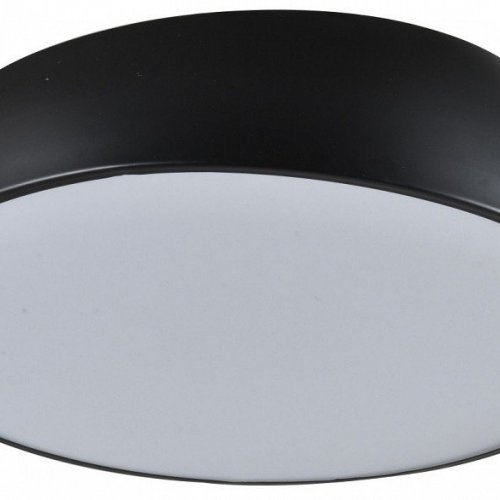 Потолочный светильник Zortes Wallo ZRS.1818.04 Потолочный светильник Zortes Wallo ZRS.1818.04