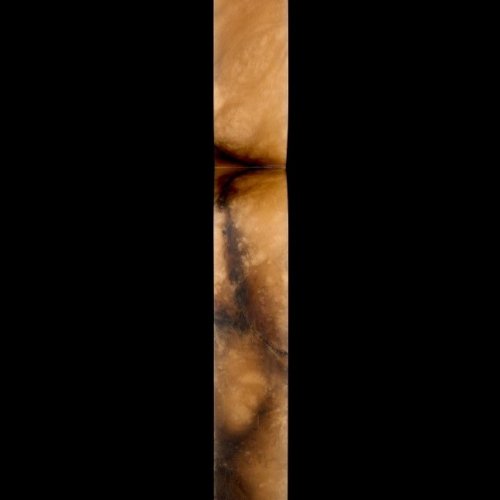 Настенный светильник Magnifico FL1195-6W