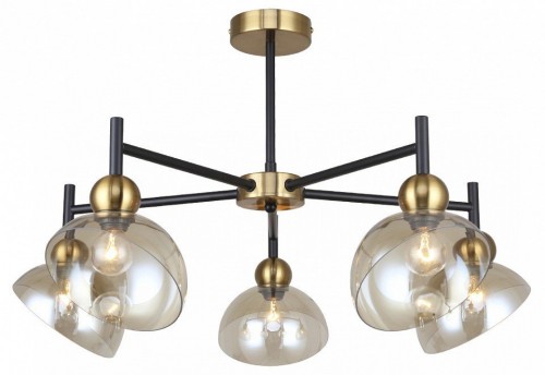 Потолочная люстра Liberty 2109/5P Потолочная люстра Liberty 2109/5P