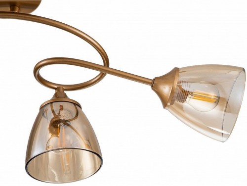 Потолочная люстра Escada Celosia 1112/4P