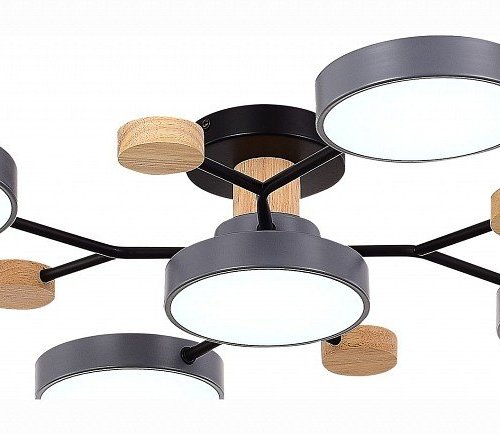 Потолочная люстра EVOLUCE Faema SLE6006-702-05