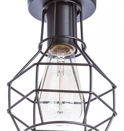 Потолочный светильник Arte Lamp A1109PL-1BK Потолочный светильник Arte Lamp A1109PL-1BK