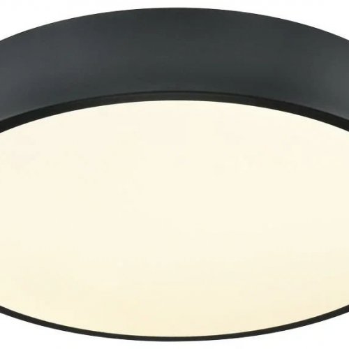 Потолочный светильник Velante 444-607-01