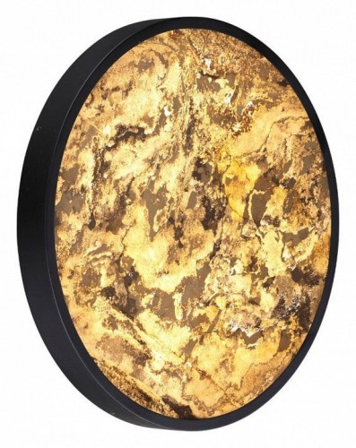 Настенно-потолочный светильник Odeon Light Bergi 5064/40L