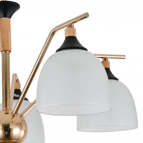 Подвесная люстра Reluce Escada Actinidia 2123/5P Подвесная люстра Reluce Escada Actinidia 2123/5P