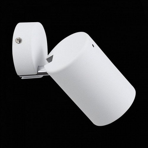 Настенно-потолочный светильник ST Luce Fanale SL597.501.01