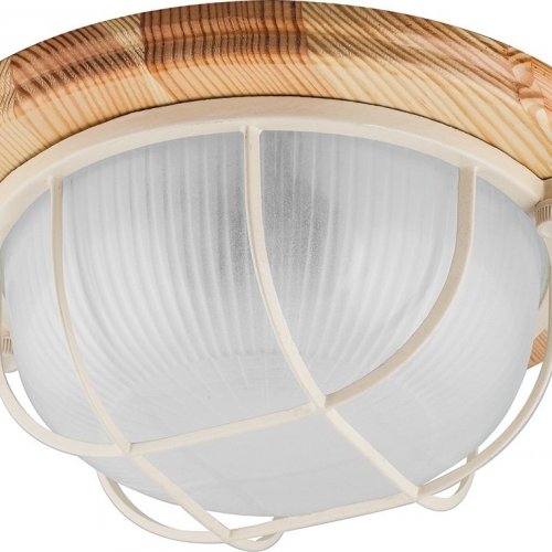 Настенно-потолочный светильник Feron НБО 0360012 11570