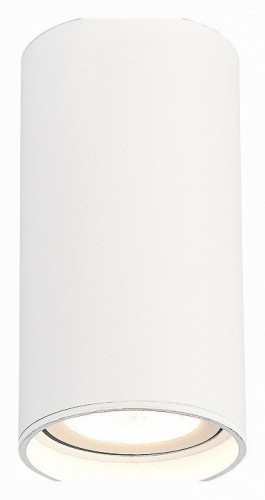 Накладной светильник ST-Luce ST157 ST157.532.15