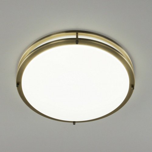 Настенно-потолочный светильник Citilux Бостон CL709503N