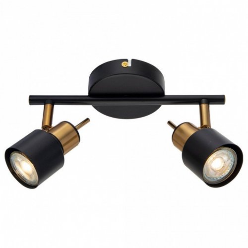 Спот Arte Lamp Almach A1906PL-2BK Спот Arte Lamp Almach A1906PL-2BK