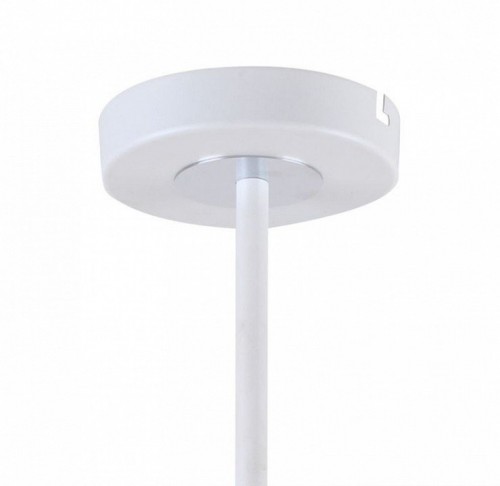 Потолочная люстра F-Promo Viator 2559-8P