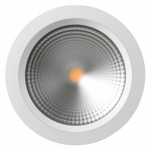 Встраиваемый светильник Arlight LTD-220WH-FROST-30W Day White 110deg