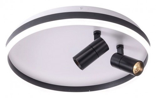 Потолочный светильник Zortes Raizy ZRS.1888.01