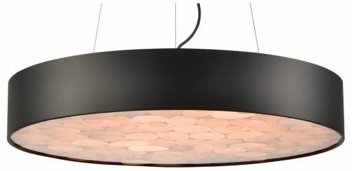 Подвесной светильник Wertmark Edera WE510.01.723 Подвесной светильник Wertmark Edera WE510.01.723