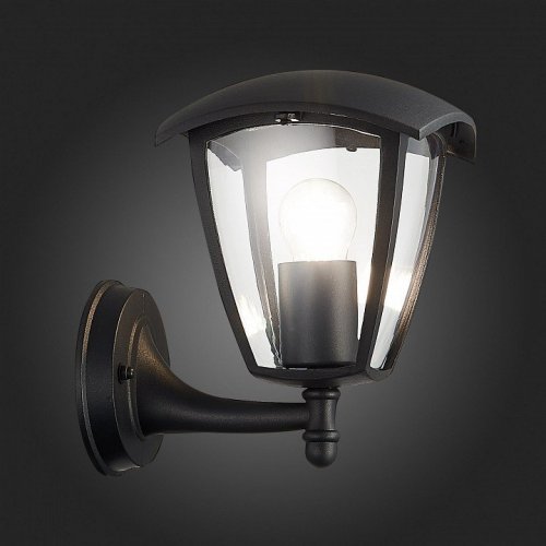 Светильник на штанге ST Luce Sivino SL081.401.01