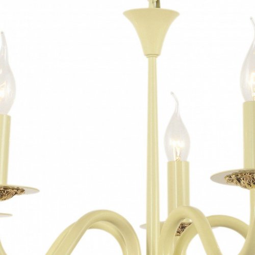 Подвесная люстра Arti Lampadari Pontone E 1.1.5 C