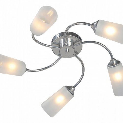 Потолочная люстра Vitaluce V2831-9/5PL