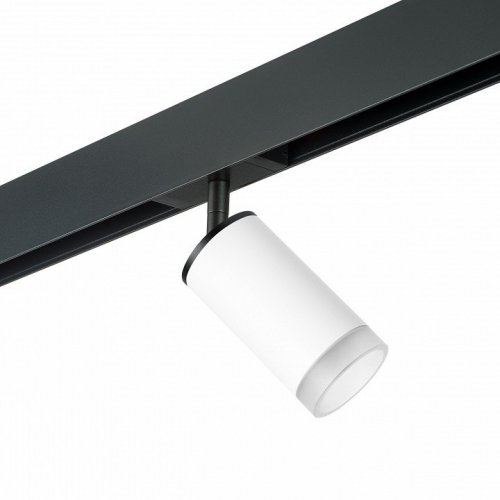 Светильник на штанге Lightstar Rullo PRO43630 Светильник на штанге Lightstar Rullo PRO43630