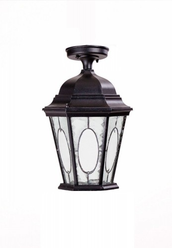 Потолочный светильник уличный Oasis Light ASTORIA 2M 91405MA Bl овал