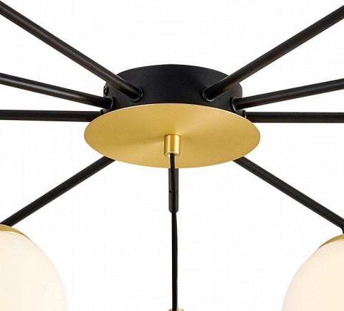 Подвесная люстра Favourite Paramount 3047-10P