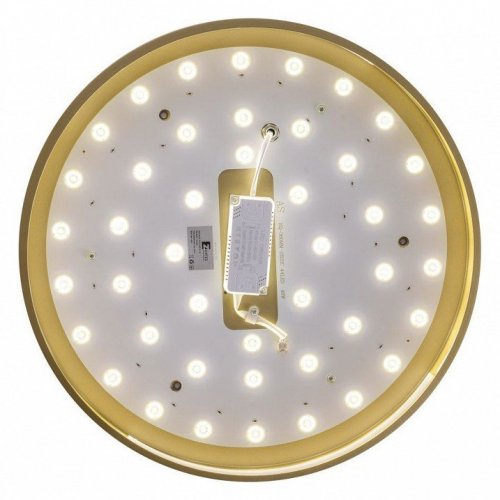 Потолочный светильник Zortes Gabby ZRS.90610.40