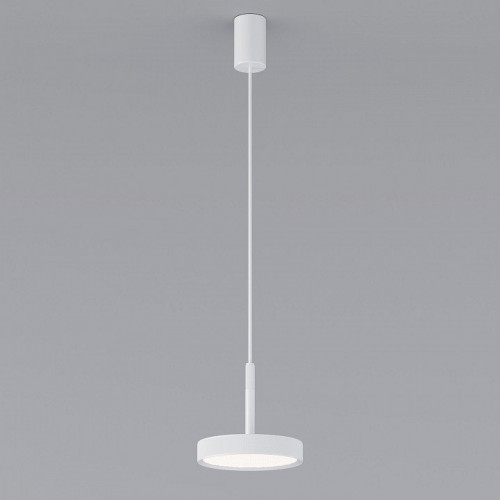 Подвесной светильник Elektrostandard Plate a065412