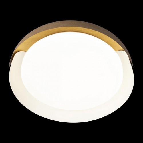 Потолочный светильник Loft IT Coin 10198 White