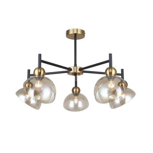 Потолочная люстра Liberty 2109/5P