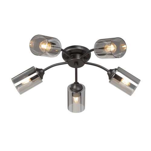 Потолочная люстра Vitaluce V2558-1/5PL Потолочная люстра Vitaluce V2558-1/5PL