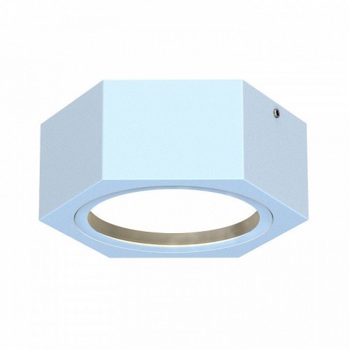 Накладной светильник Favourite Fantum 4665-1U