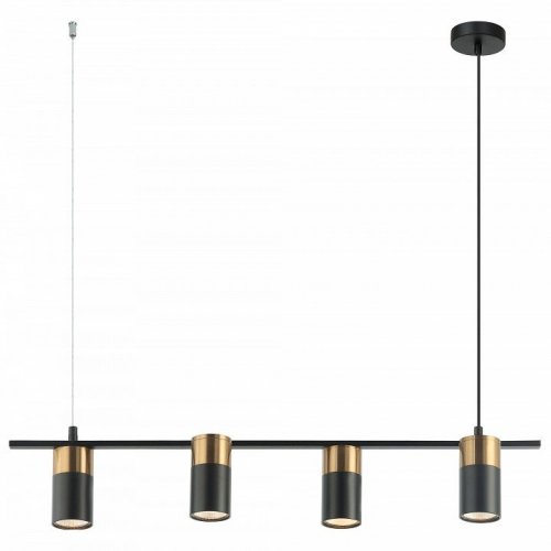 Подвесная люстра Favourite Topper 2825-4P