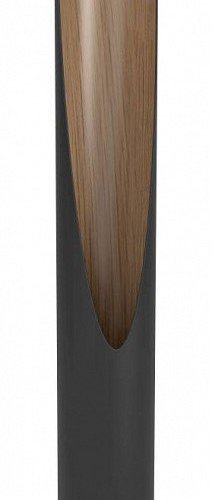 Наземный низкий светильник Eglo Barbotto 900876