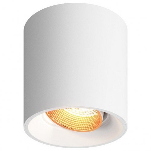 Точечный светильник Denkirs DK3090-WBR