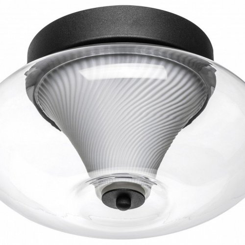 Настенно-потолочный светильник Lightstar Palermo 612017