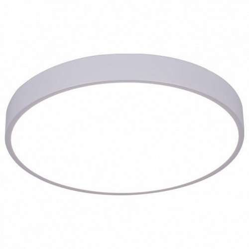 Потолочный светодиодный светильник Arte Lamp Arena A2661PL-1WH